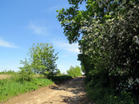 IMG_3260.JPG