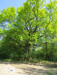 IMG_3256.JPG