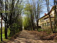IMG_1284.JPG