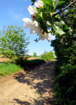 IMG_3261.JPG