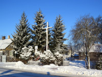 IMG_2169.jpg
