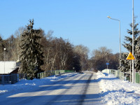 IMG_2167.jpg
