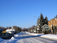 IMG_2176.jpg