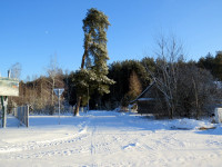 IMG_2184.jpg