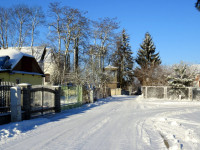 IMG_2187.jpg