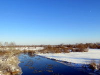 IMG_2206.jpg