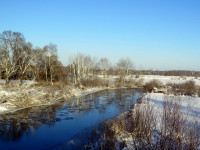 IMG_2203.jpg