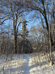 IMG_2238.jpg