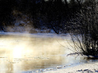 IMG_2230.jpg