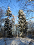 IMG_2240.jpg