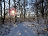 IMG_2237.jpg