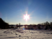 IMG_2245.jpg