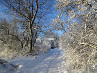 IMG_2258.jpg