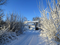 IMG_2263.jpg