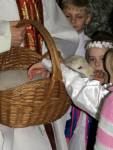 IMG_6907.jpg
