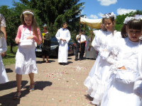 IMG_7837.jpg