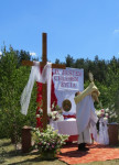 IMG_7981.jpg