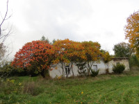 IMG_4062.jpg