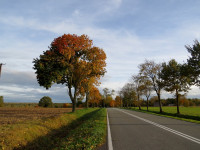 IMG_4071.jpg