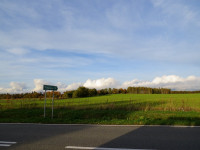 IMG_4067.jpg