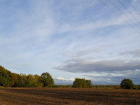 IMG_4072.jpg