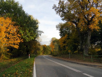 IMG_4081.jpg