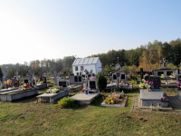IMG_4090.jpg