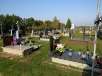 IMG_4100.jpg