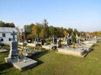 IMG_4107.jpg