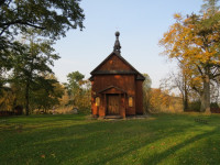 IMG_4113.jpg