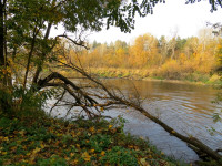 IMG_4115.jpg