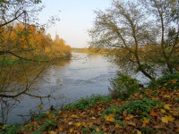 IMG_4128.jpg