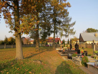 IMG_4134.jpg