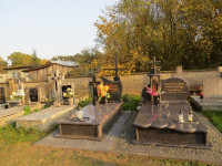 IMG_4137.jpg