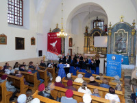 IMG_4247.jpg