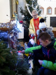 IMG_5999.jpg