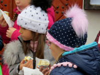 IMG_6063.jpg