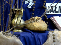 IMG_7495.jpg