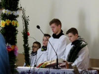 IMG_9033.jpg