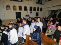 IMG_9537.jpg