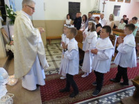 IMG_4976.jpg