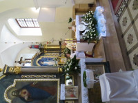 IMG_4982.jpg