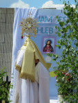 IMG_8089.jpg