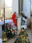 IMG_2203.jpg