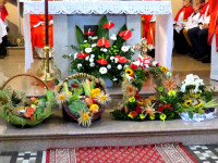 IMG_2229.jpg