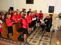 IMG_2239.jpg