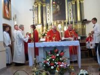 IMG_2260.jpg