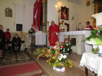 IMG_2282.jpg