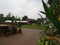 IMG_2611.jpg