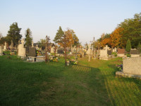 IMG_4151.jpg
